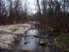 2008-11-28pic099(Mill Creek)(resized)